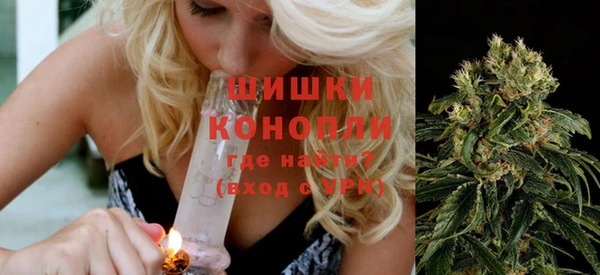 твердый Аркадак