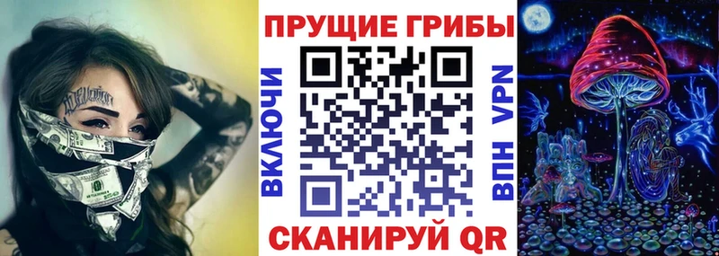 Псилоцибиновые грибы Cubensis  Коммунар 