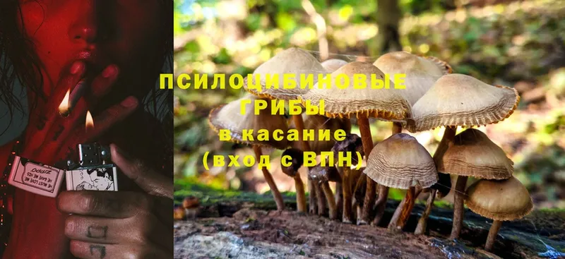 Псилоцибиновые грибы Psilocybine cubensis  где продают наркотики  Коммунар 