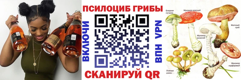 Псилоцибиновые грибы мицелий Коммунар