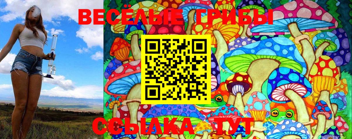 Псилоцибиновые грибы Magic Shrooms Коммунар