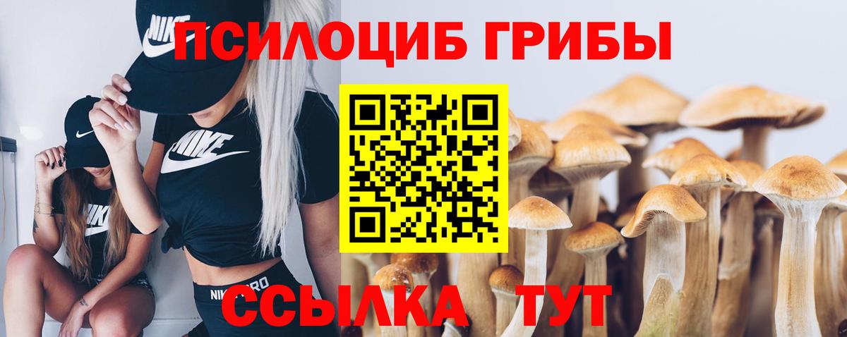 Коммунар  Псилоцибиновые грибы GOLDEN TEACHER  Вход с VPN 